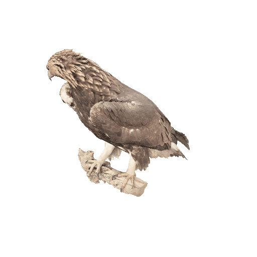 Original eagle